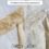 Wedding Gown Yellowing
